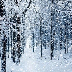 Meet your Posher, Chloe